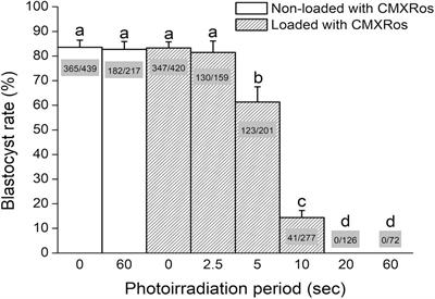 Evidence of Selection Against Damaged Mitochondria During Early Embryogenesis in the Mouse